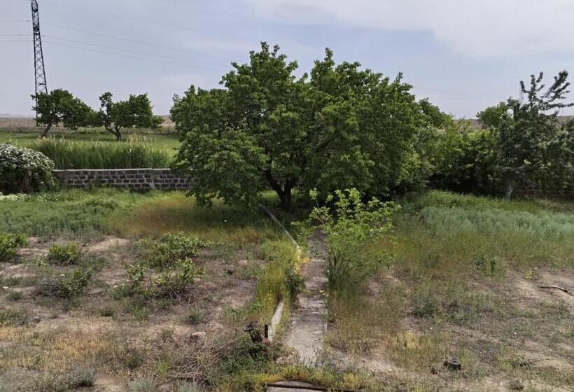 膳宿费 Airport To Echmiadzin Guest House