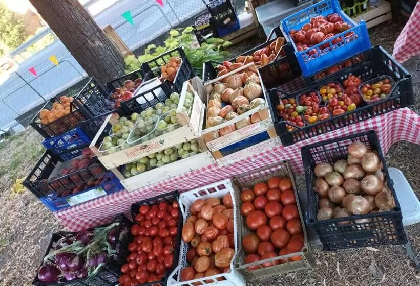 Majatalo Il Conte Di Montechiaro Rural B&b