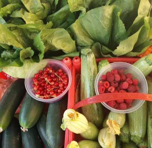 Majatalo Il Conte Di Montechiaro Rural B&b