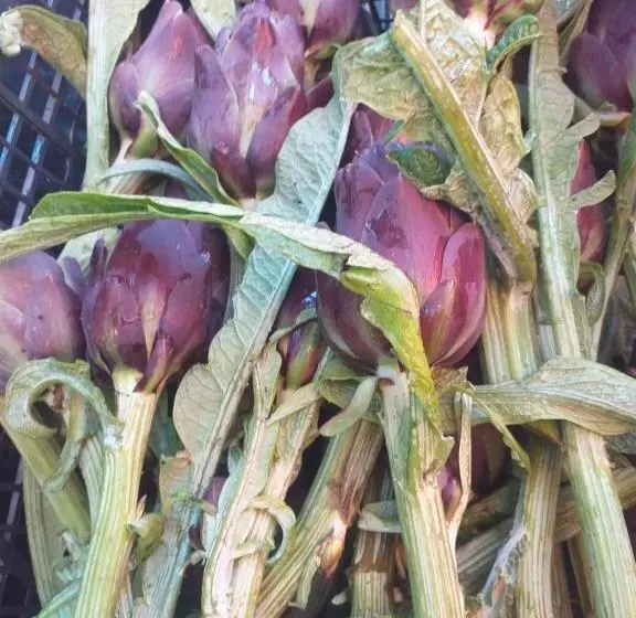 Majatalo Il Conte Di Montechiaro Rural B&b