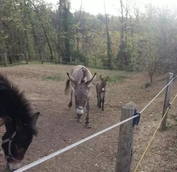 Majatalo Il Conte Di Montechiaro Rural B&b
