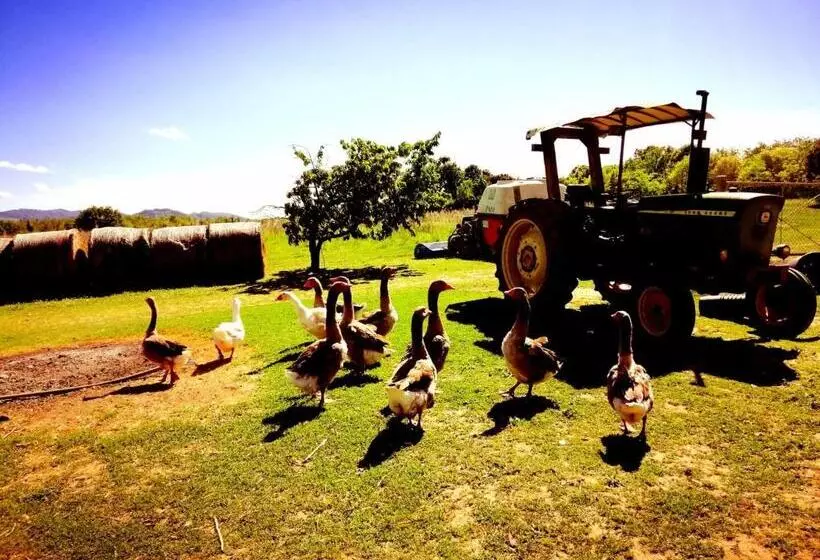 Majatalo Il Conte Di Montechiaro Rural B&b