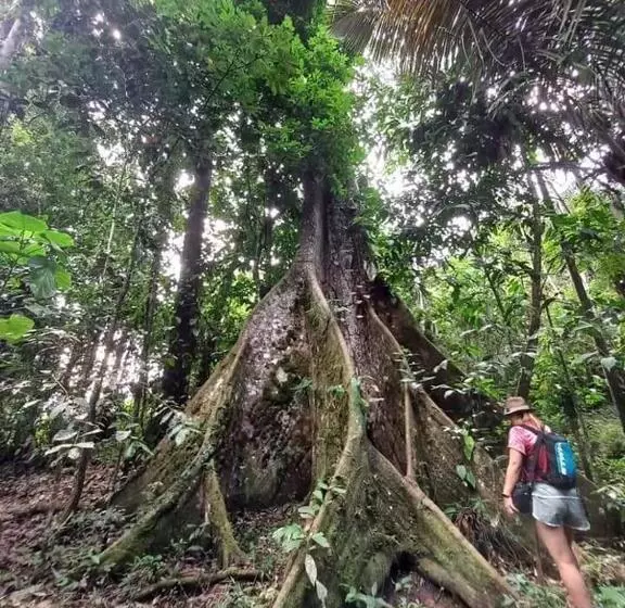 ペンション Metare Eco Hostal Amazonas