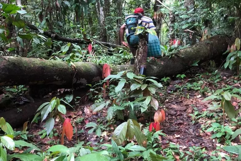 ペンション Metare Eco Hostal Amazonas