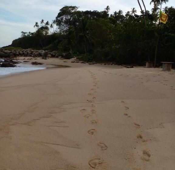 Pension (Hôtel basse catégorie) Ruka Homestay