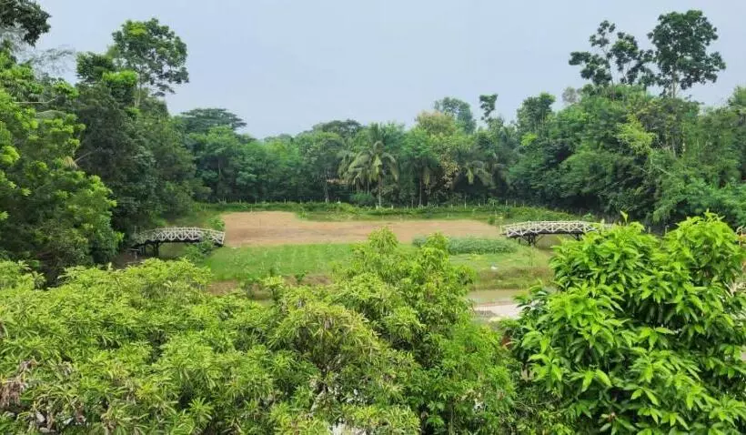 Lomakeskus Damodar River Retreat, Uluberia