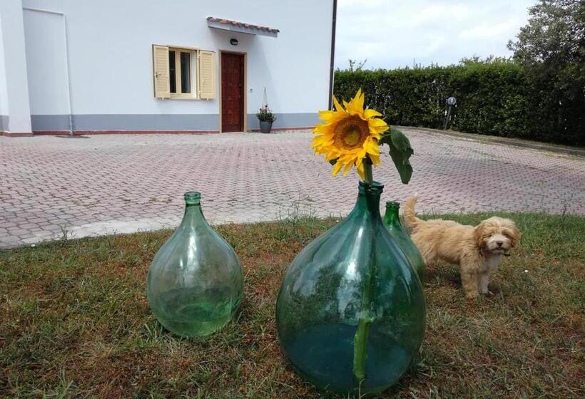 Casa Amrita, Yoga B&b