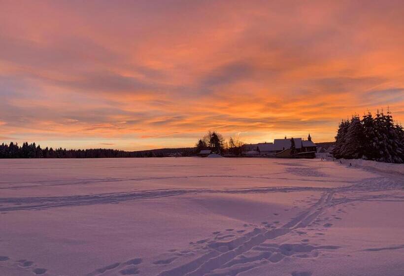 Отель Haus Rosenbaum Gruppenhaus  Begegnungsstätte   Pension