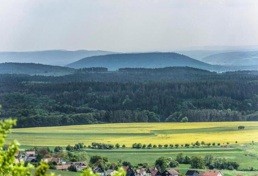 Отель Haus Rosenbaum Gruppenhaus  Begegnungsstätte   Pension