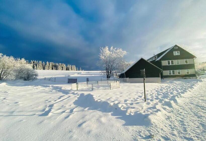 Отель Haus Rosenbaum Gruppenhaus  Begegnungsstätte   Pension
