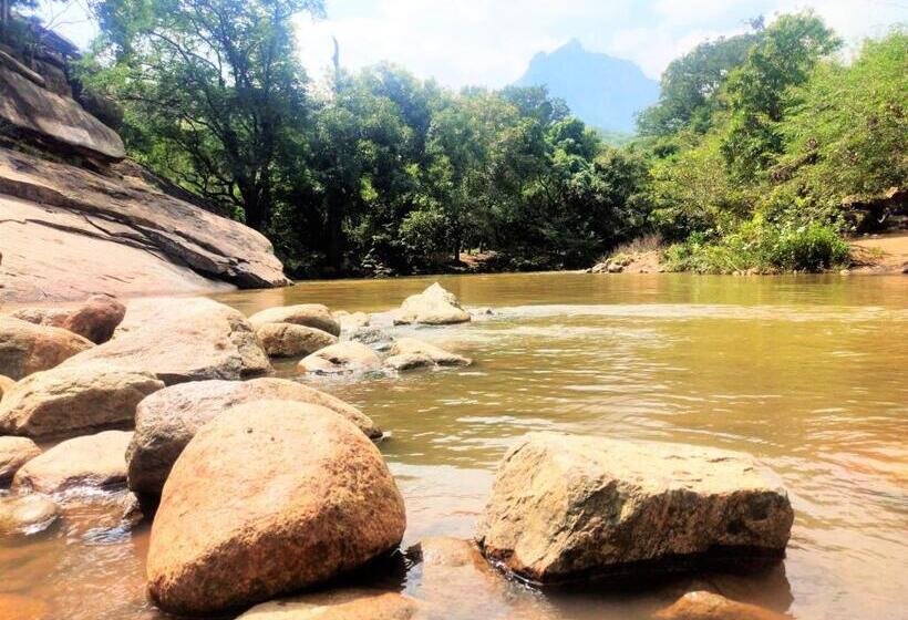 בית מלון כפרי Nambiyar Farm House