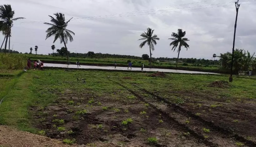 ホテル Nambiyar Farm House