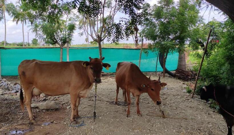 בית מלון כפרי Nambiyar Farm House