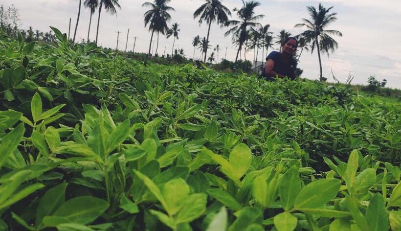 בית מלון כפרי Nambiyar Farm House