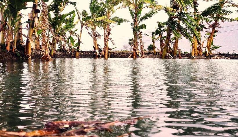 בית מלון כפרי Nambiyar Farm House