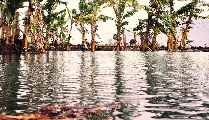 ホテル Nambiyar Farm House