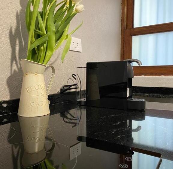 هتل Siete Puertas Coyoacán