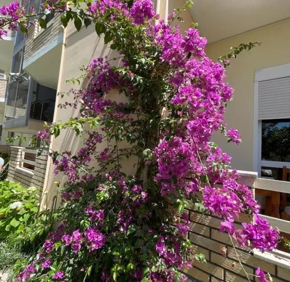 هتل Vila Beni