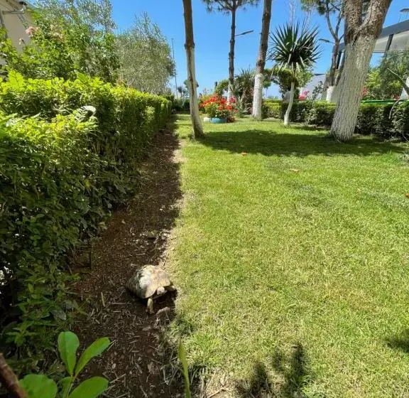 هتل Vila Beni