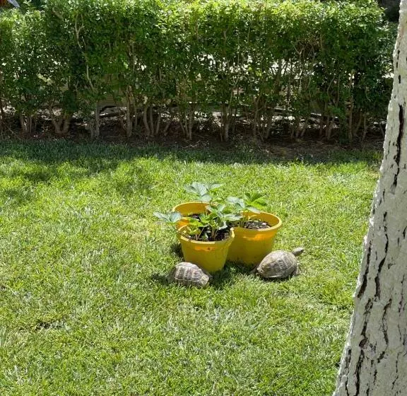هتل Vila Beni