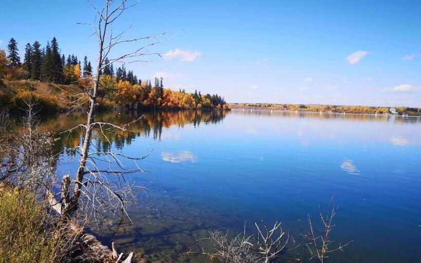 پانسیون A Home By Chinook Mall And Heritage Park