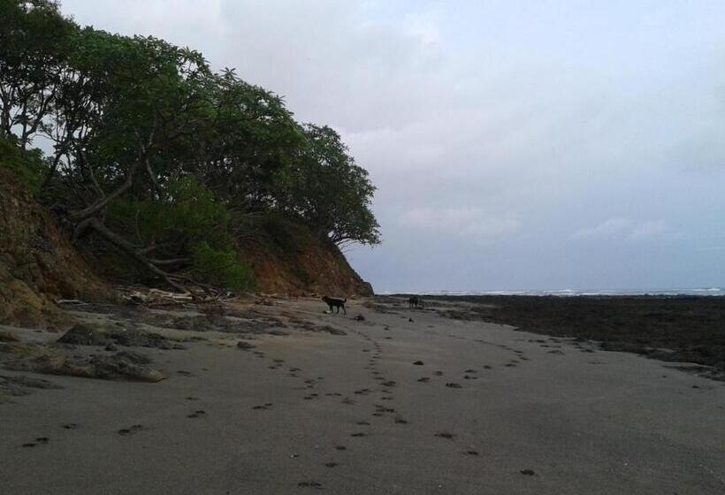 펜션 Oceanfront Gem At La Joya De Lagarto