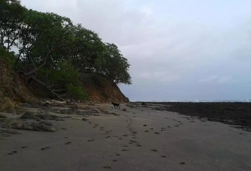 ペンション Oceanfront Gem At La Joya De Lagarto