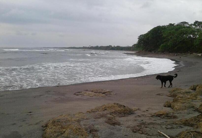 펜션 Oceanfront Gem At La Joya De Lagarto