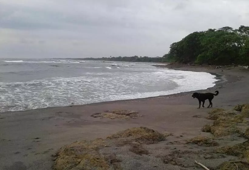 ペンション Oceanfront Gem At La Joya De Lagarto