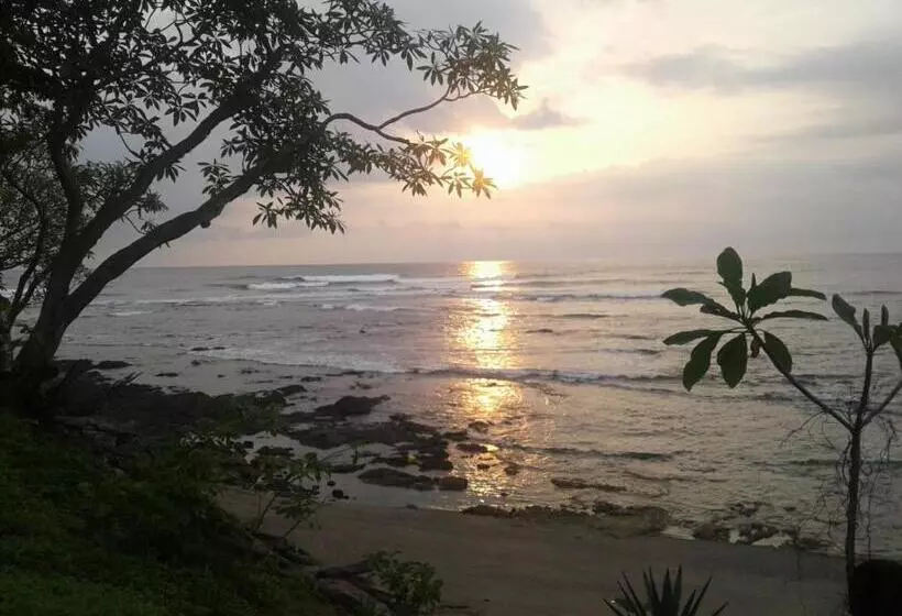 ペンション Oceanfront Gem At La Joya De Lagarto