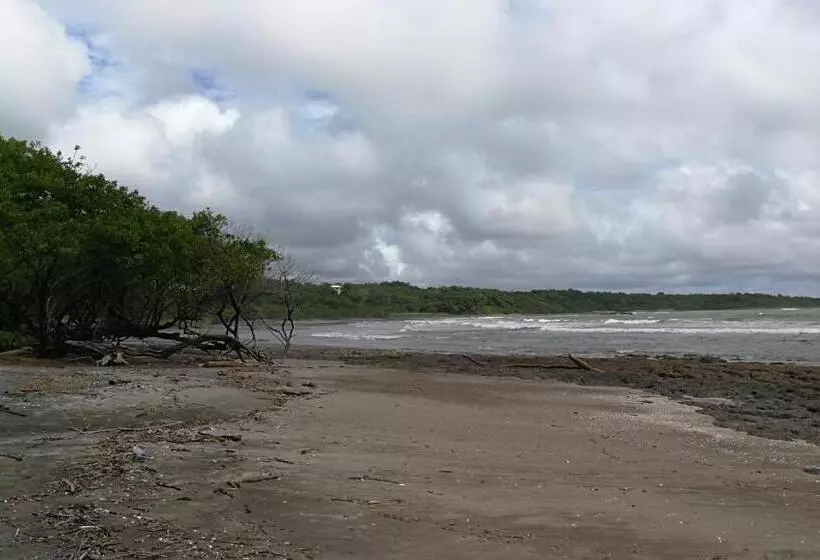ペンション Oceanfront Gem At La Joya De Lagarto