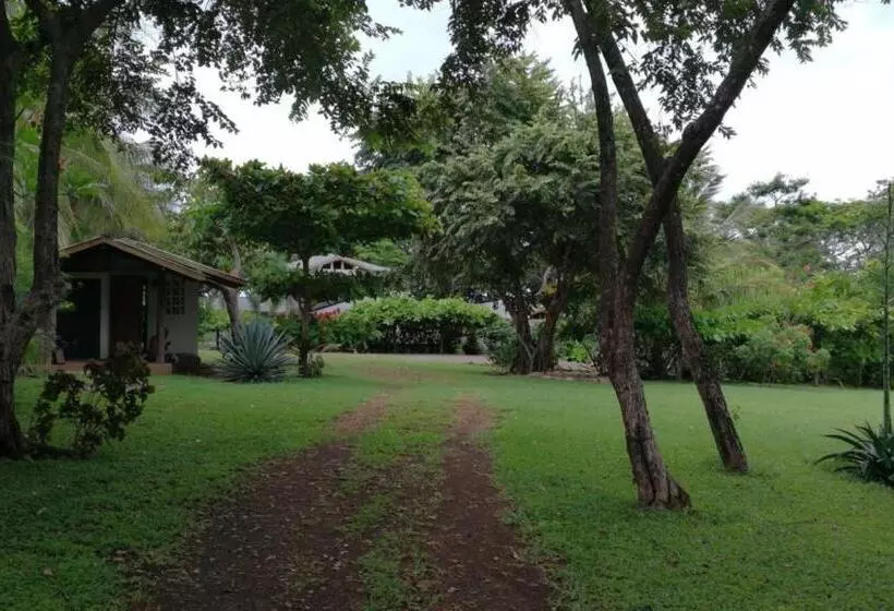 ペンション Oceanfront Gem At La Joya De Lagarto