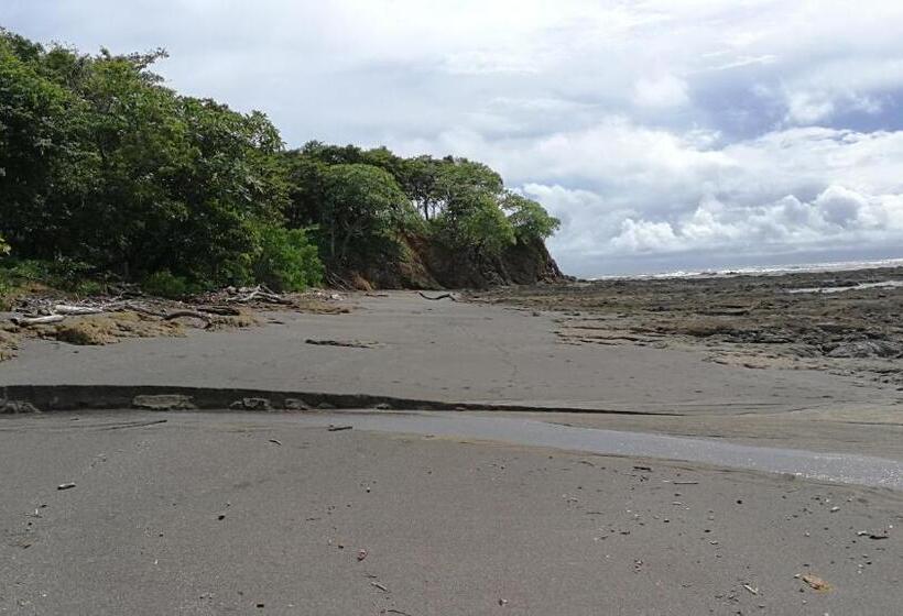 펜션 Oceanfront Gem At La Joya De Lagarto