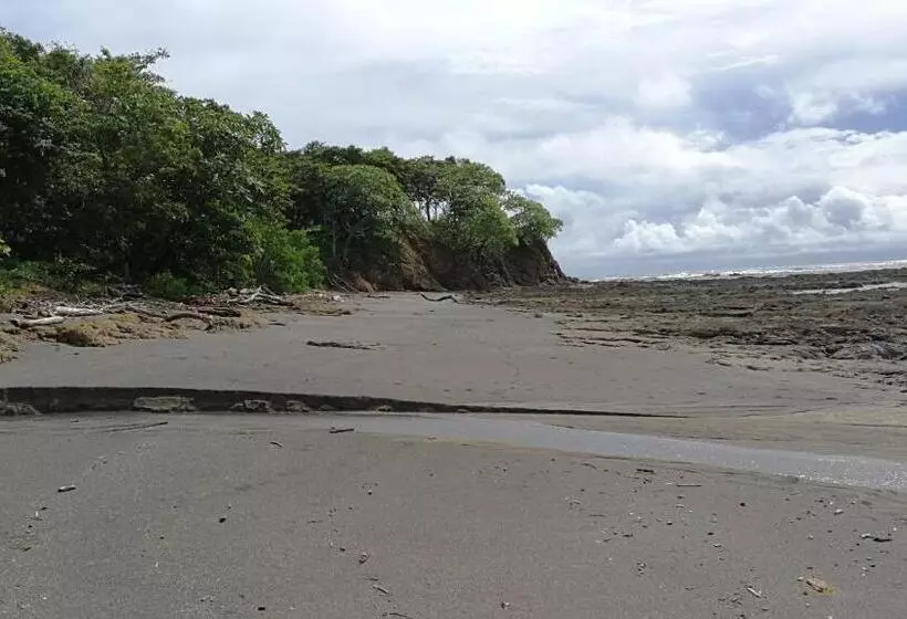 ペンション Oceanfront Gem At La Joya De Lagarto
