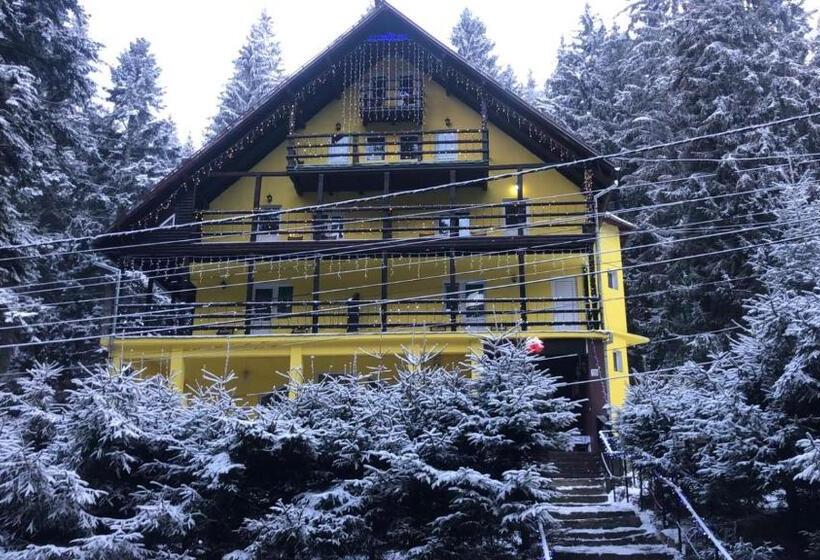 Пансион Trei Brazi 39