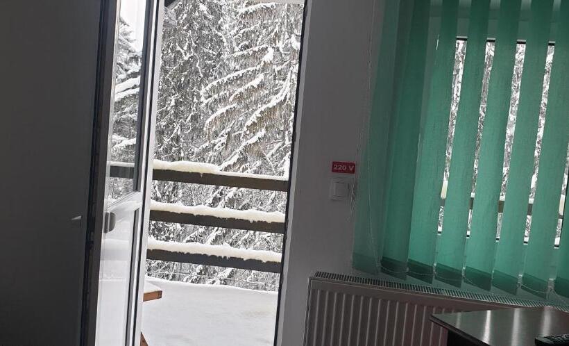 Пансион Trei Brazi 39