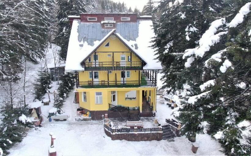 Пансион Trei Brazi 39