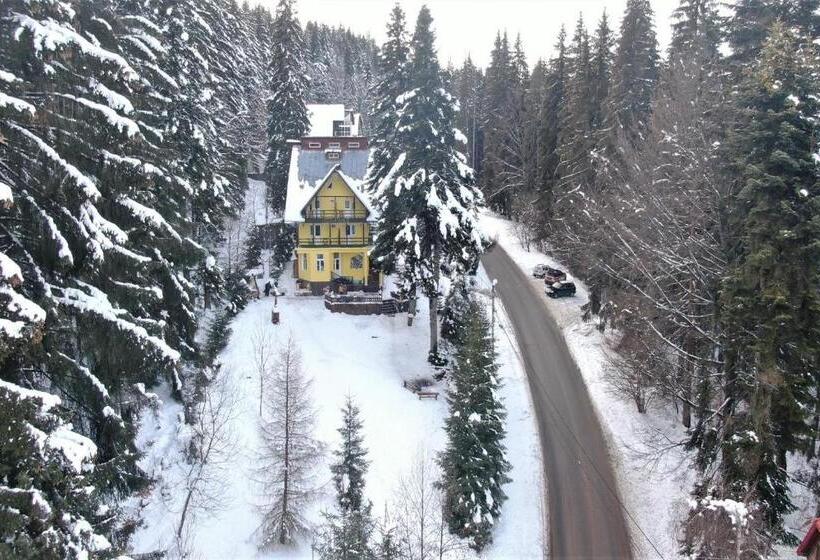 Пансион Trei Brazi 39