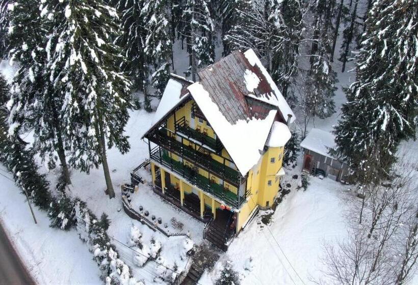 Пансион Trei Brazi 39