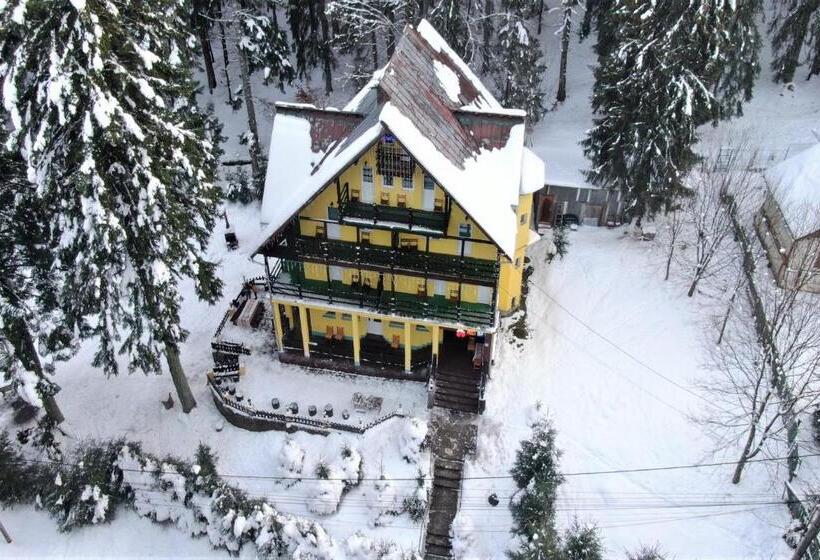 Пансион Trei Brazi 39