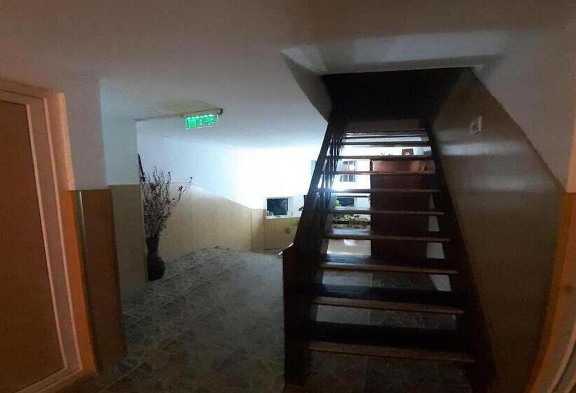 Пансион Trei Brazi 39