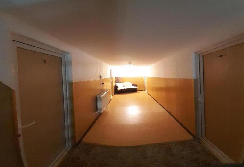 Пансион Trei Brazi 39