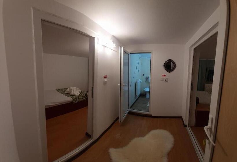 Пансион Trei Brazi 39