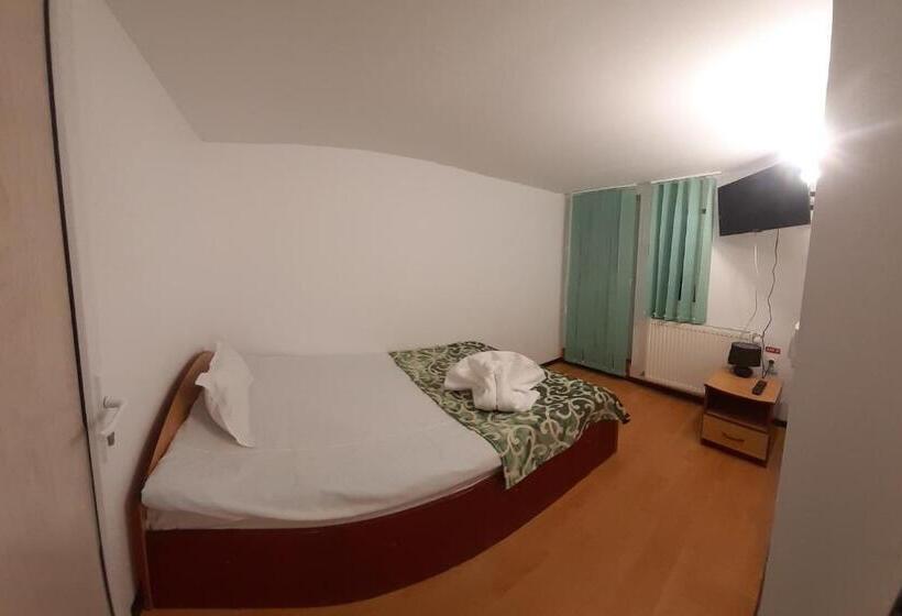 Пансион Trei Brazi 39