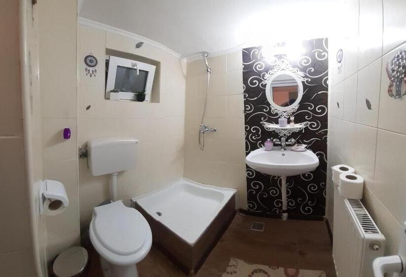 Пансион Trei Brazi 39