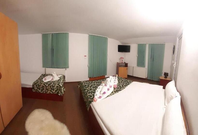 Пансион Trei Brazi 39