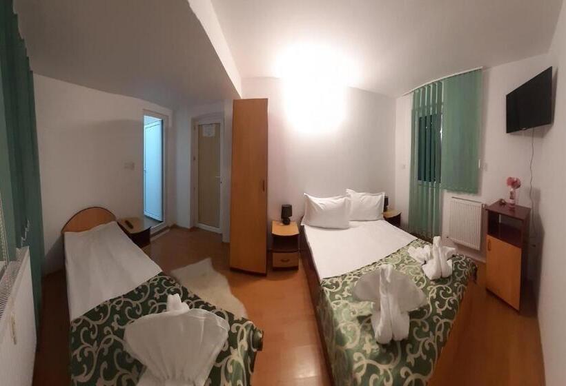 Пансион Trei Brazi 39