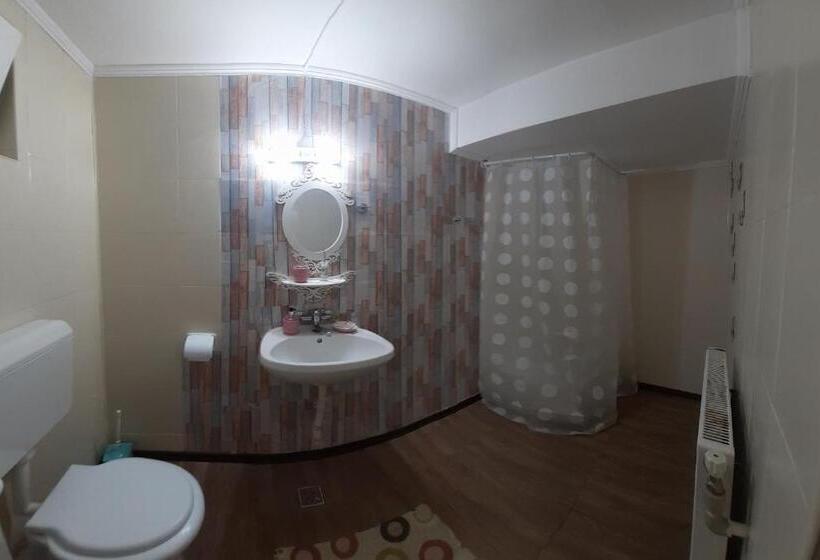 Пансион Trei Brazi 39