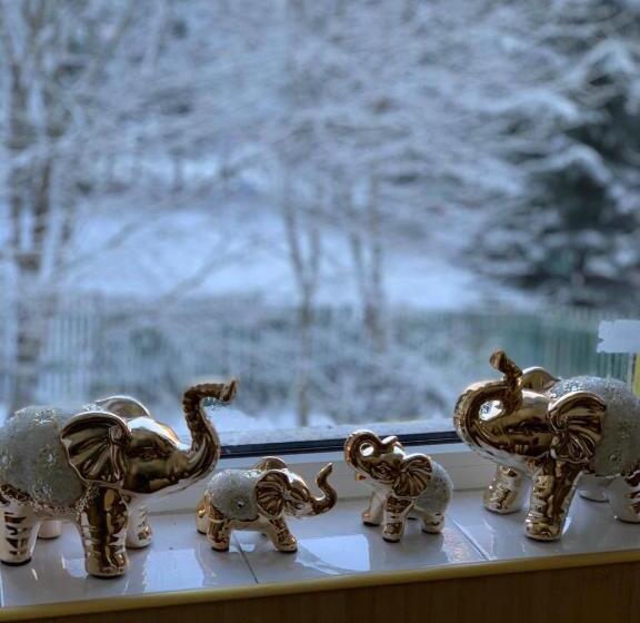 Пансион Trei Brazi 39