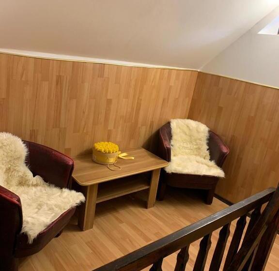 Пансион Trei Brazi 39